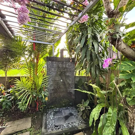 Maha Villa Ubud
